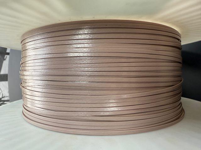 ลวดแบน peek สำหรับม้วนมอเตอร์